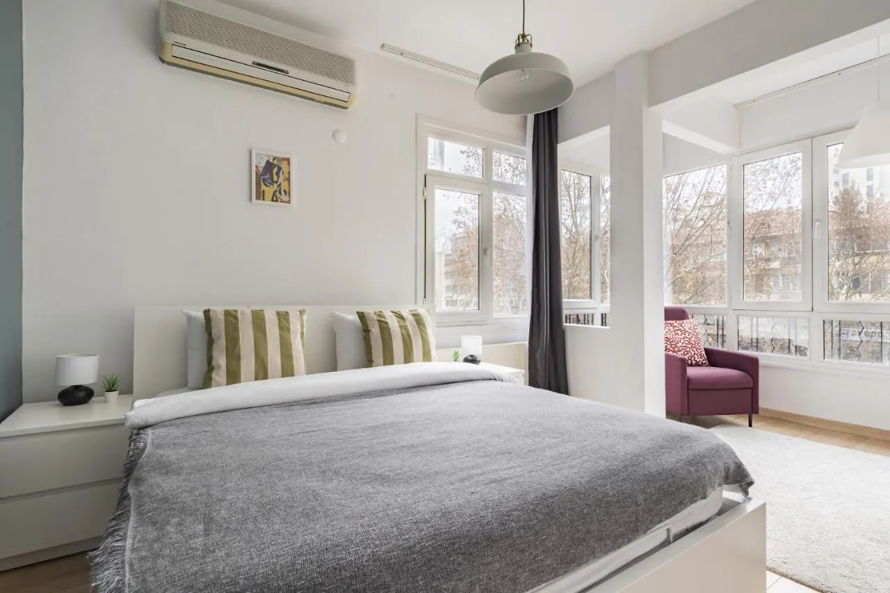 Specious And Stylish Apartment Near Bagdat Street With Excellent Location In Kadikoy اسطنبول